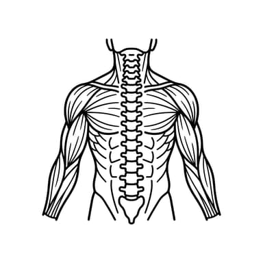 Musculoesquelética